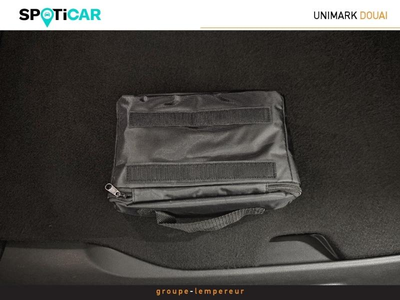 Image RENAULT Twingo Electric Zen R80 Achat Intégral