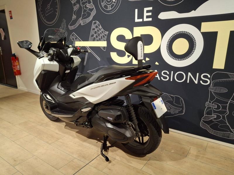 Image HONDA NSS Forza NSS 350 Forza 2024