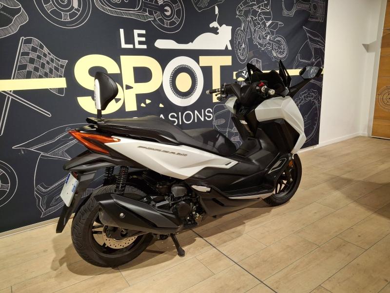 Image HONDA NSS Forza NSS 350 Forza 2024