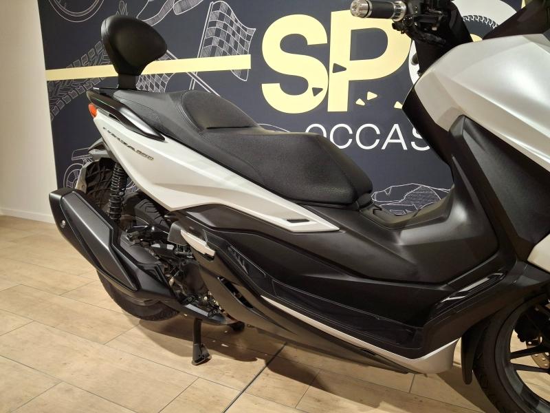 Image HONDA NSS Forza NSS 350 Forza 2024