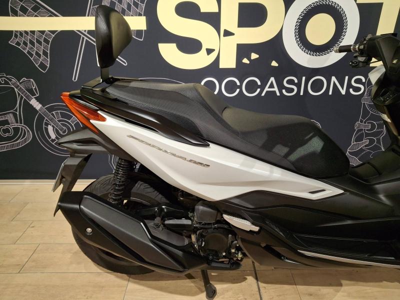 Image HONDA NSS Forza NSS 350 Forza 2024