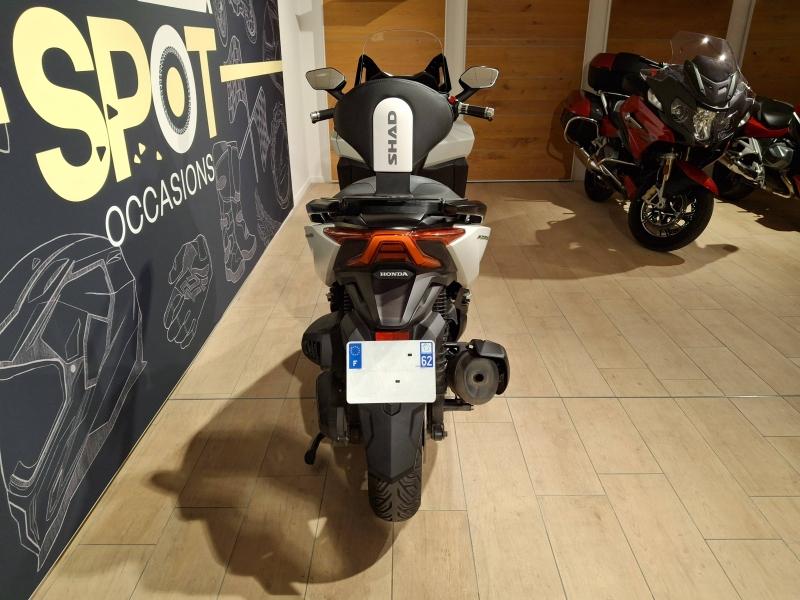 Image HONDA NSS Forza NSS 350 Forza 2024