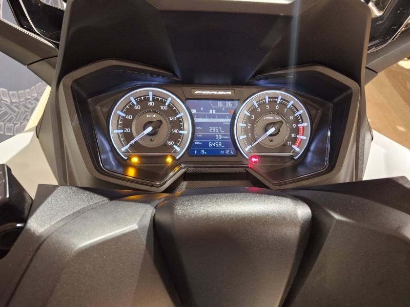 Image HONDA NSS Forza NSS 350 Forza 2024