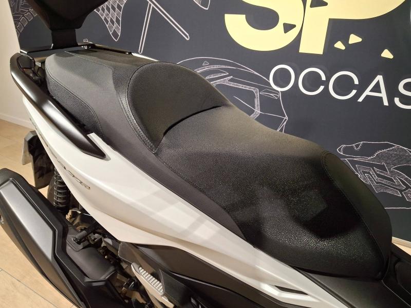 Image HONDA NSS Forza NSS 350 Forza 2024