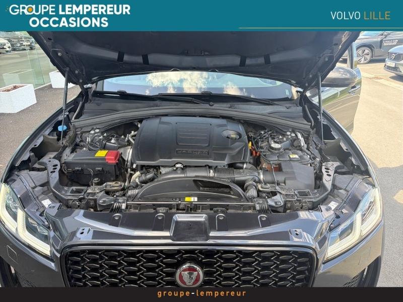 Image JAGUAR F-Pace P400e Plug-in-Hybrid R-Dynamic SE BVA8 AWD