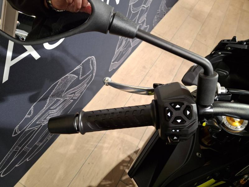 Image APRILIA Tuono Tuono 660 Factory Euro 5+