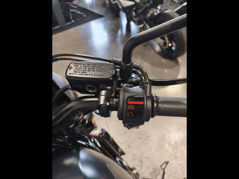 Image HONDA CMX Rebel CMX 500 Rebel 2023