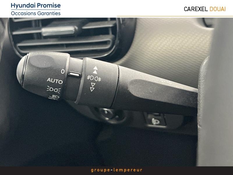 Image CITROEN C4 Cactus BlueHDi 100 Shine