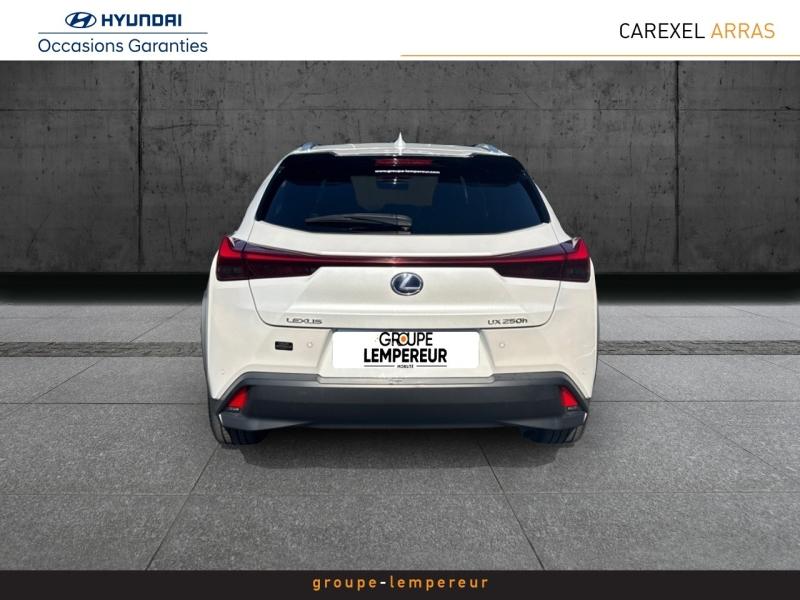 Image LEXUS UX 250h 2WD Executive MY20
