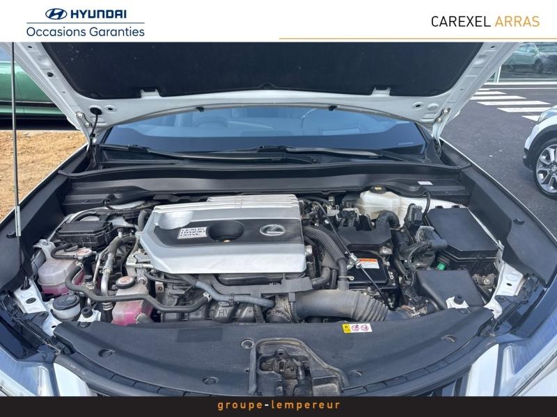 Image LEXUS UX 250h 2WD Executive MY20