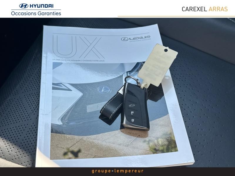 Image LEXUS UX 250h 2WD Executive MY20