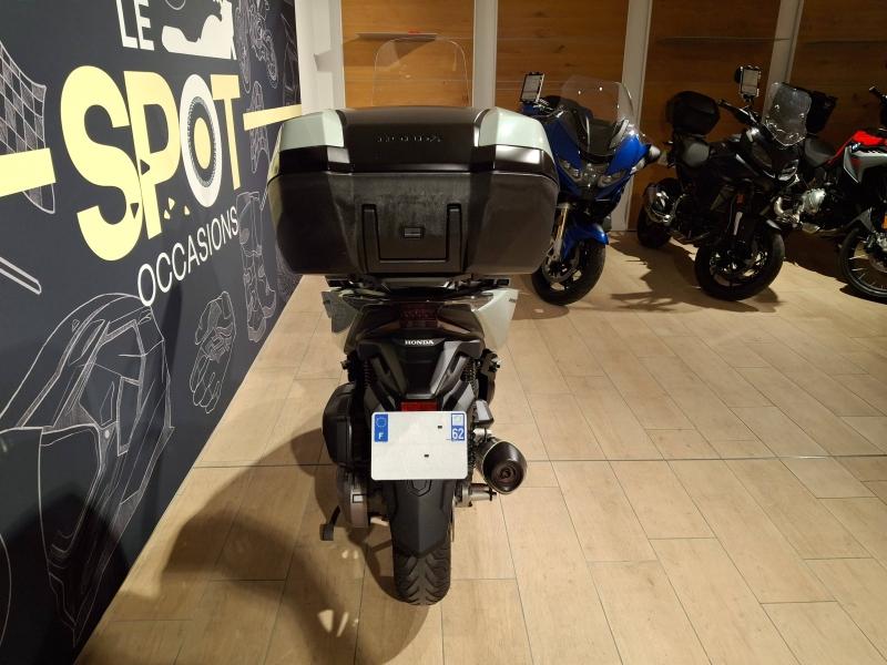 Image HONDA NSS Forza NSS 125 Forza ABS 2022