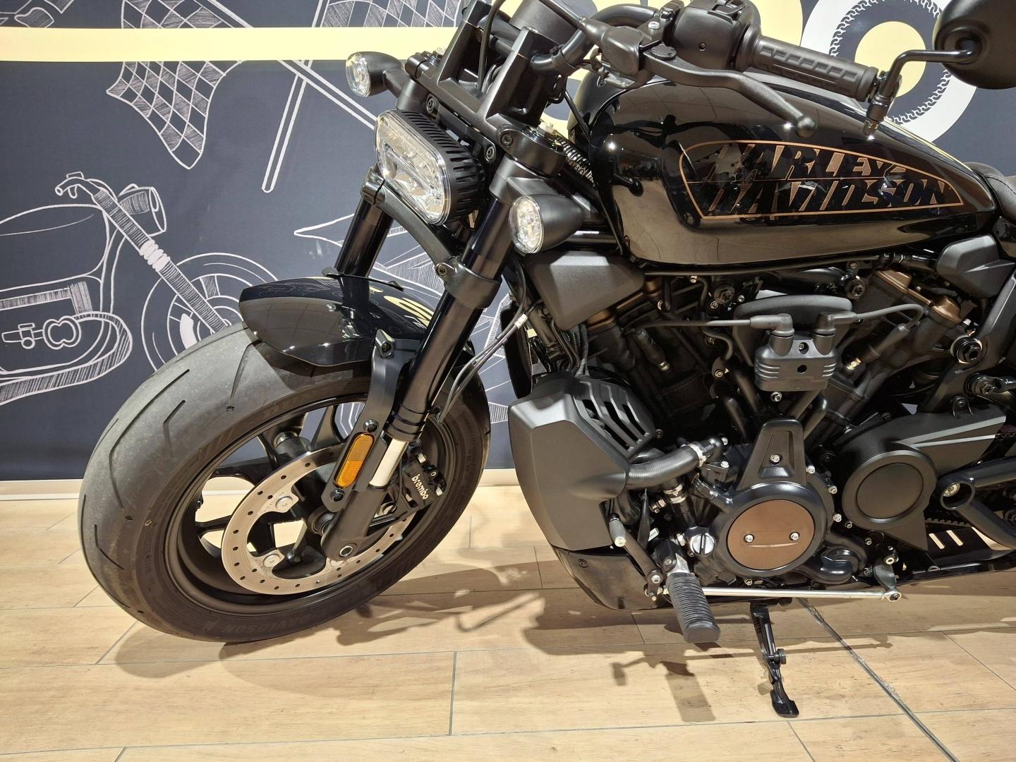 Image HARLEY-DAVIDSON Softail Standard 1250 SPORTSTER S