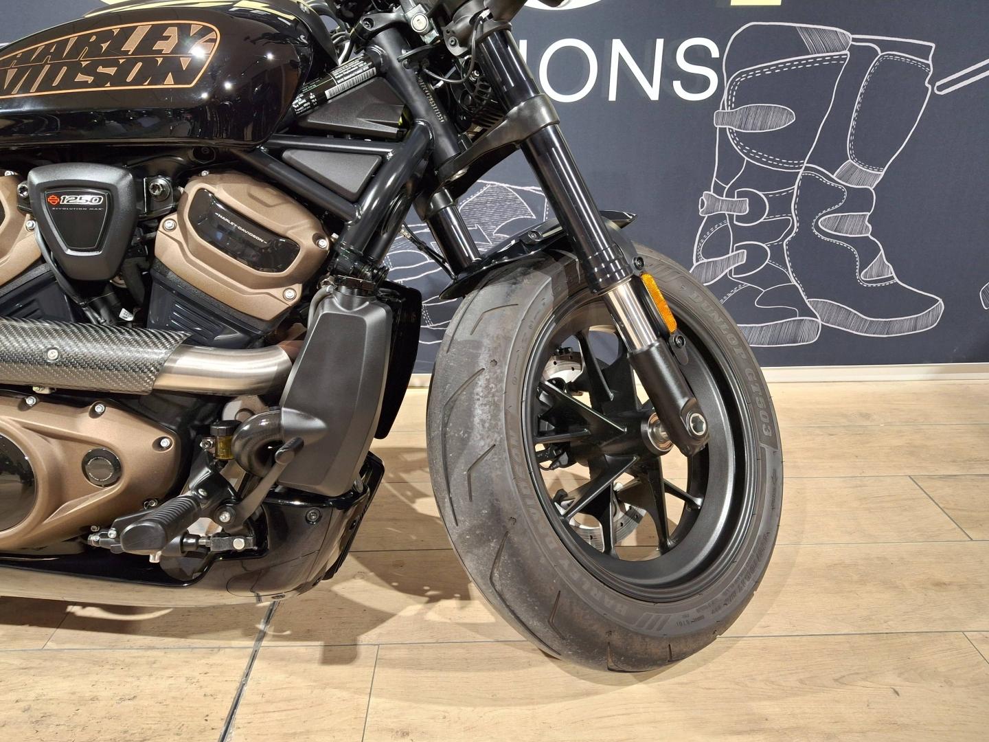 Image HARLEY-DAVIDSON Softail Standard 1250 SPORTSTER S