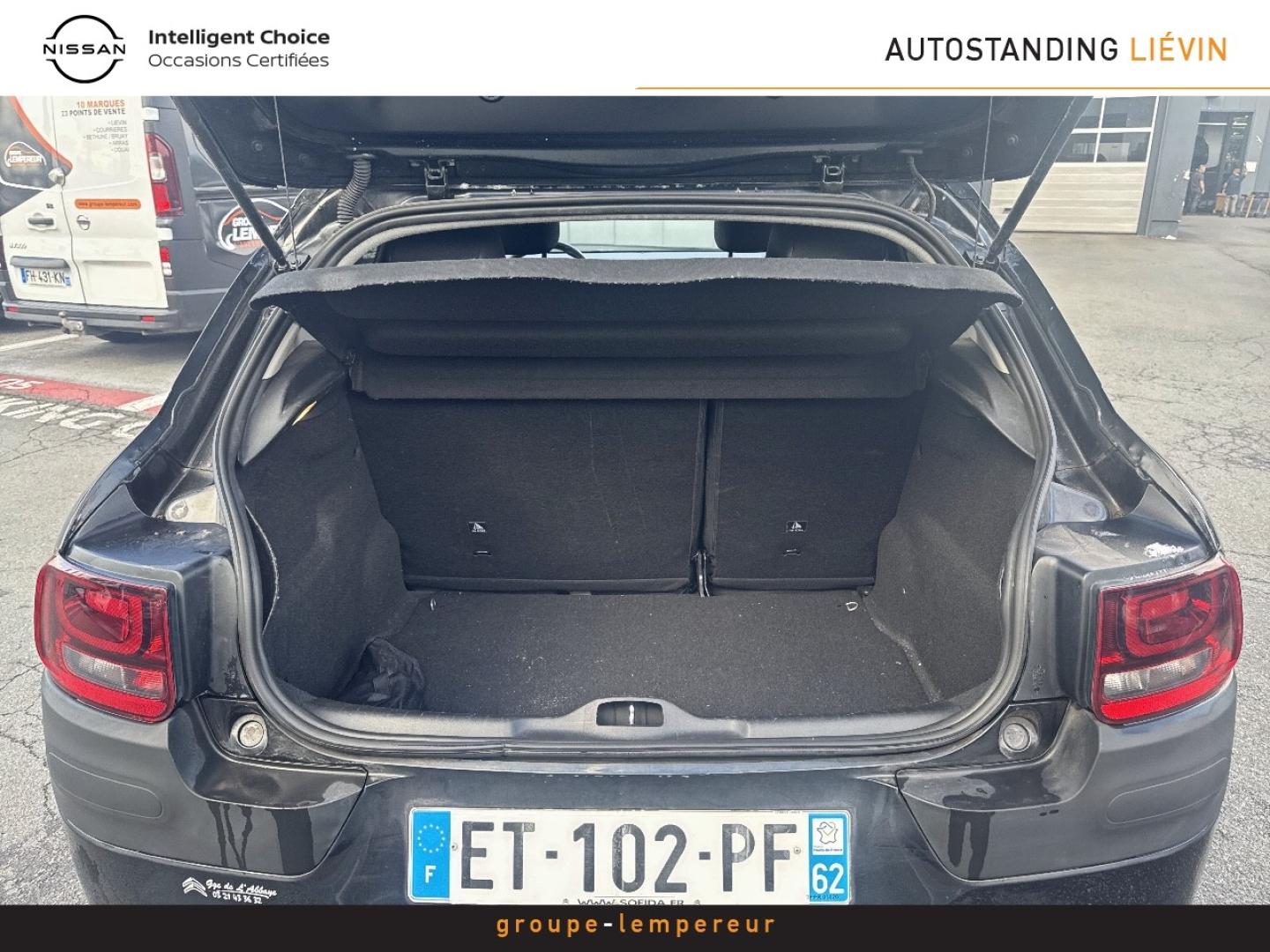Image CITROEN C4 Cactus BlueHDi 100 Shine