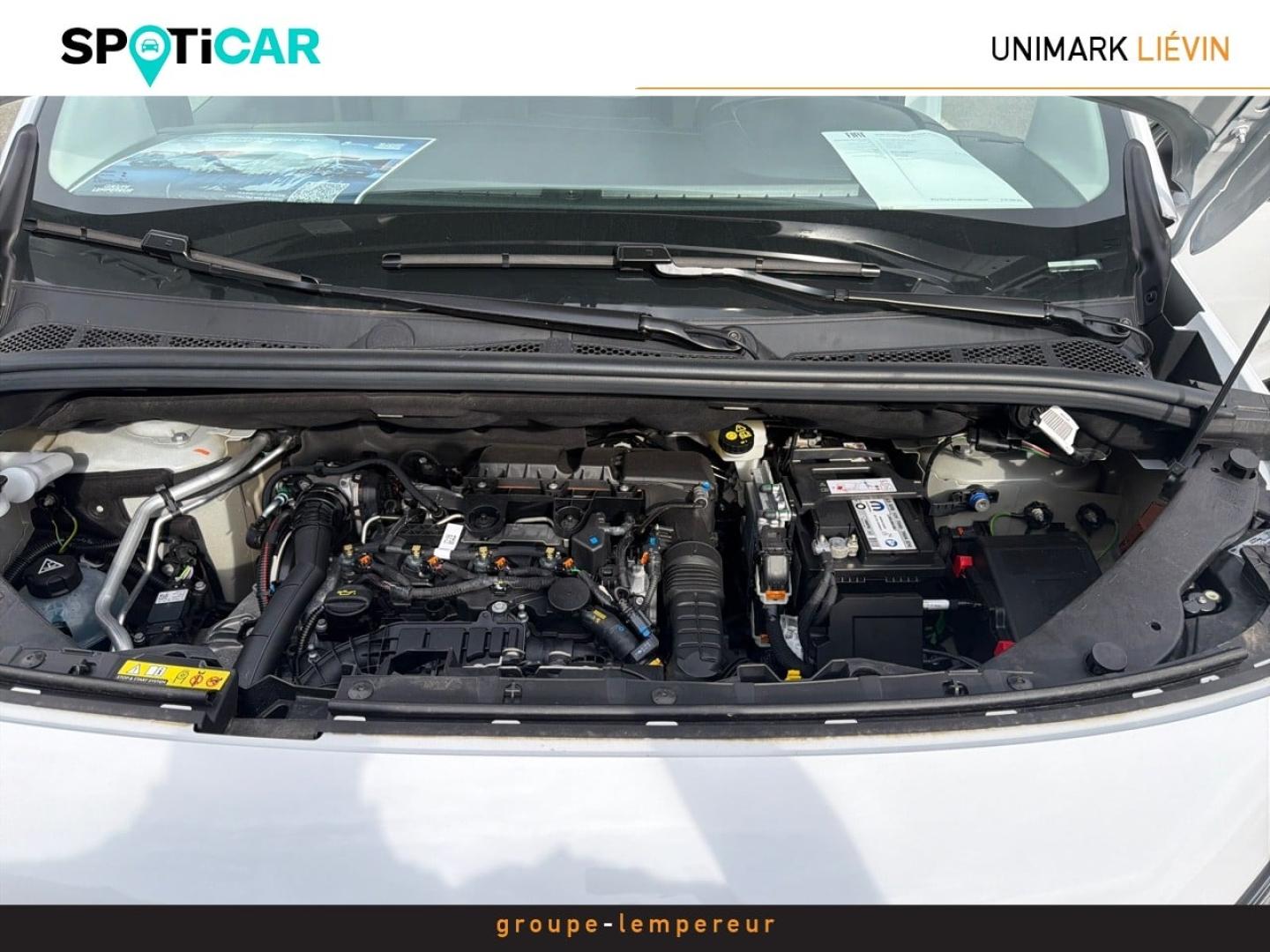 Image FIAT Doblo Fg M Diesel 100ch 25th Anniversary