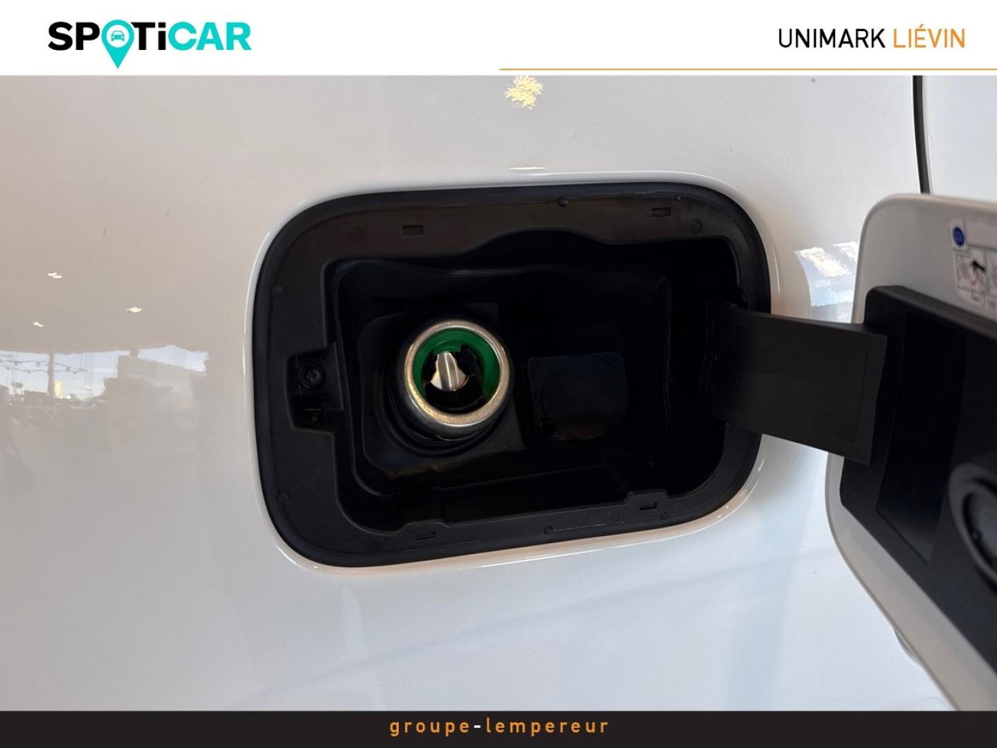 Image FIAT Panda Pandina 1.0 65ch BSG S&S Hybrid Pop (Step2)