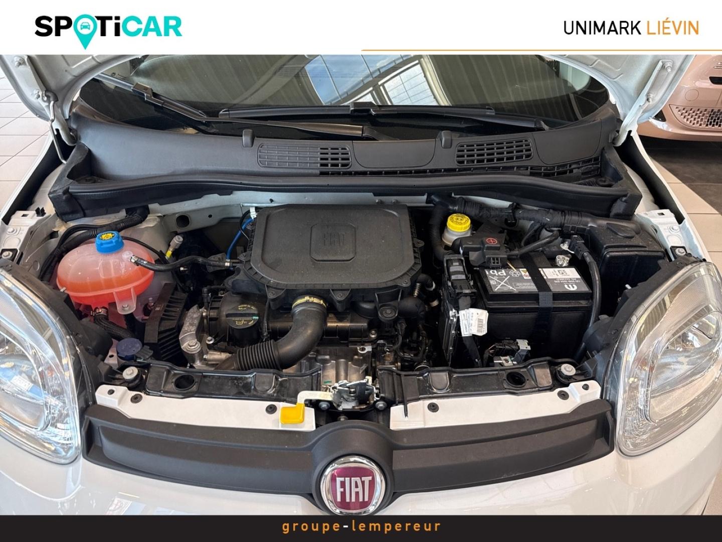 Image FIAT Panda Pandina 1.0 65ch BSG S&S Hybrid Pop (Step2)