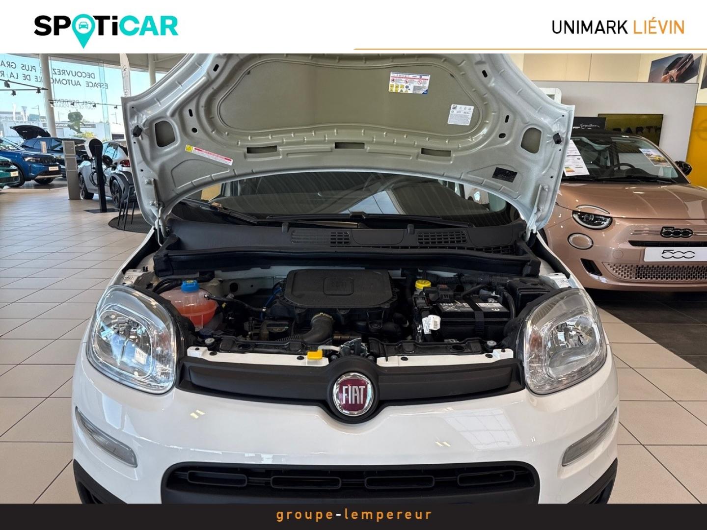 Image FIAT Panda Pandina 1.0 65ch BSG S&S Hybrid Pop (Step2)